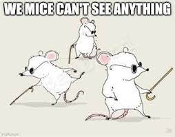 mice.jpg