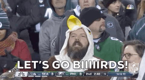 Eagles fan.gif