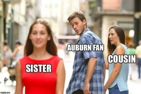 auburn fan.jpg