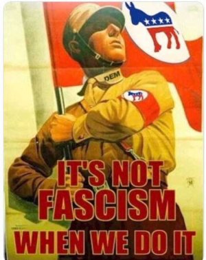 democrats-not-fascism-when-we-do-it-german-soldier.jpg