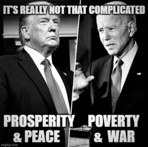 trump vs biden simple.jpeg