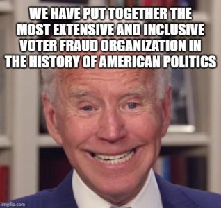 orchestrated voter fraud.jpg