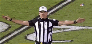 ref-referee.gif