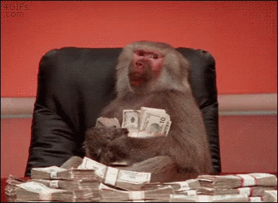 Monkey Money GIF - Monkey Money Cash - Discover & Share GIFs.gif