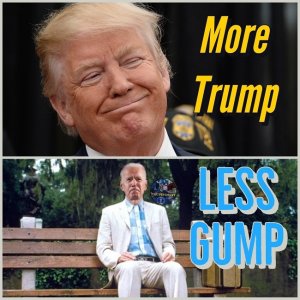 more trump less gump.jpg