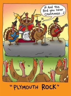 Thanksgiving turkey humor.jpg