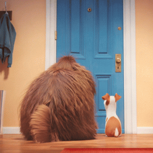 Happy Dog GIF by The Secret Life Of Pets - Find & Share on GIPHY.gif