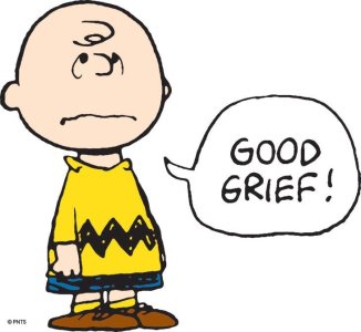 Good Grief, Charlie Brown! _ Apollo Magazine.jpeg