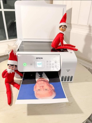 elf's butt biden.png