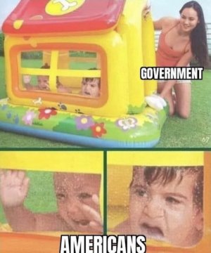 am govt.jpg