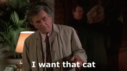 columbo-cat.gif