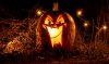 04-Great-Pumpkin-Fest.Ecotarium-1.jpg