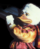 howard_the_duck_gif.png