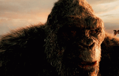 Godzilla Vs Kong Kong GIF - Godzilla Vs Kong Kong Smiling - Discover & Share GIFs.gif