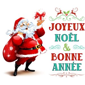 Joyeux Noel et Bonne Annee.jpg