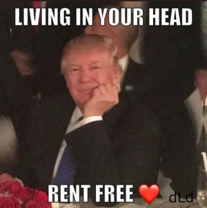 trump living rent free in your head.jpg