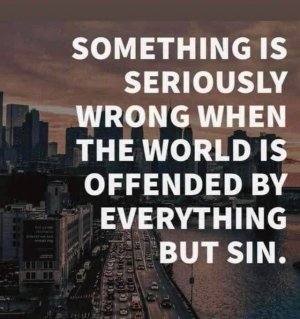 offended by sin.jpg