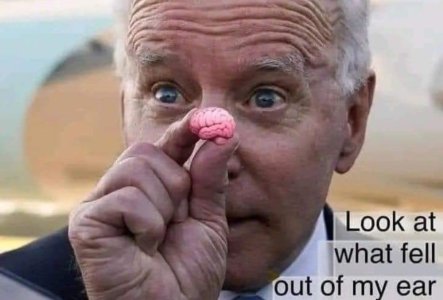 biden brain fell out ear.jpg