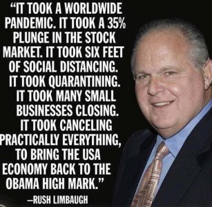 rush limbaugh bring us down.jpg