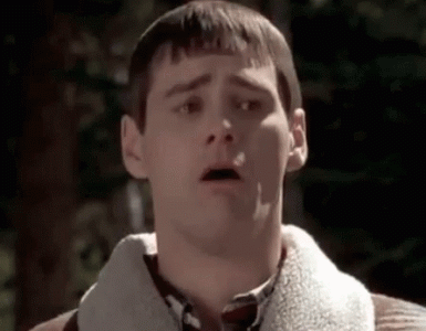 Gag Dumb And Dumber GIF - Gag Dumb And Dumber - Discover & Share GIFs.gif