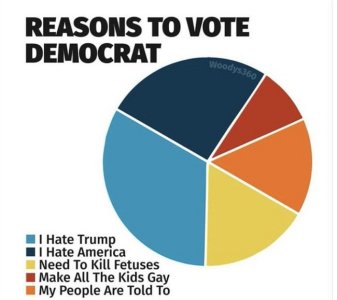 dems reasons to vote.jpg