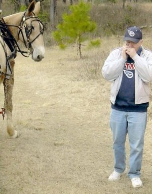 Charlie McCoy plays to his mule 2014.jpg