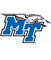 team-logo-mtn.gif