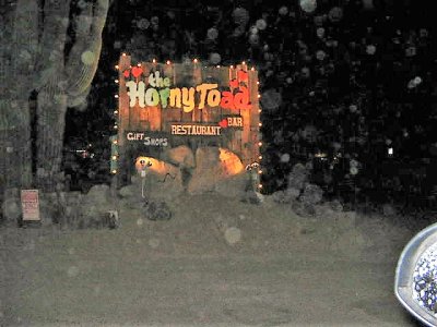 Horny Toad eatery (2).JPG