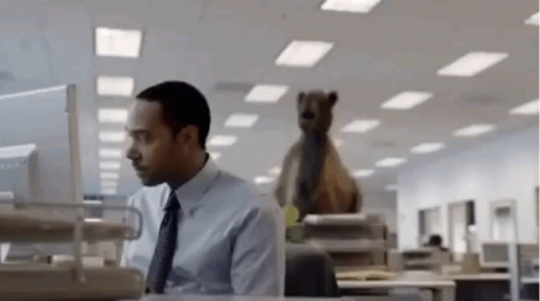 humpday-camel-1.gif