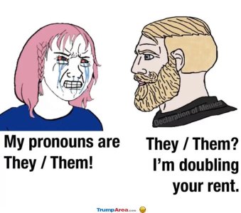 my-pronouns-1.jpg