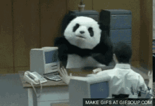 angry-panda.gif