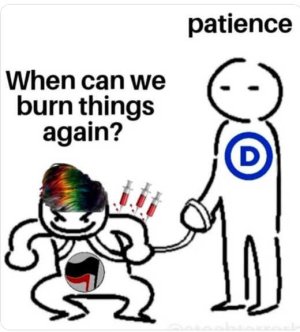 antifa-rioters-burn-patience-democrats-leash.jpg