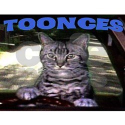 Toonces the driving cat SNL.jpg