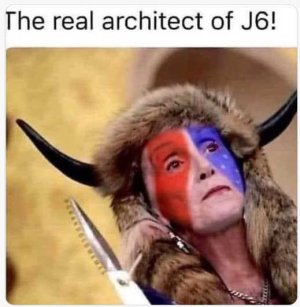 nancy-pelosi-real-architect-jan-6th-viking.jpg