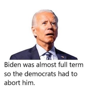 aborted biden.jpeg