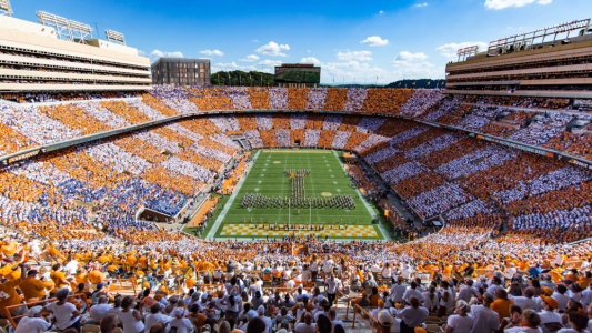 new_neyland.png