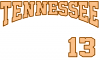 Tennessee checkerboard baseball jersey artwork.PNG