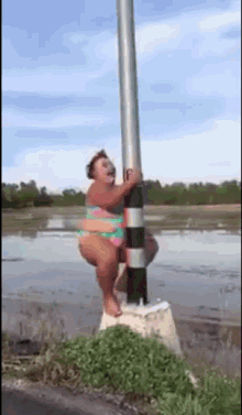 pole-dance-pole-dancing.gif