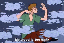 weed-shaggy-2343337804.gif