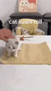 cat-sushi.gif