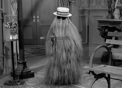 Cousin Itt.gif