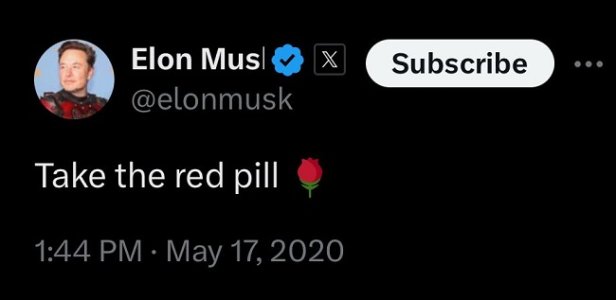 take the red pill elon musk.jpeg