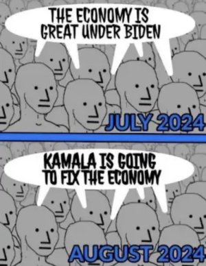 the economy is great. Kamala is going to fix the economy..jpeg