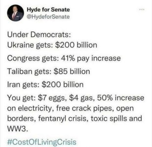 cost of living under biden and harris.jpeg