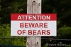 bear sign.jpg