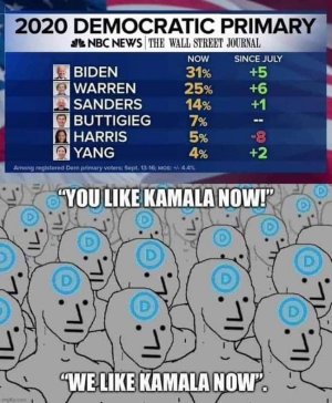 democrats like kamala.jpeg