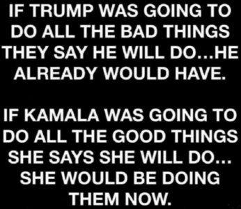 if kamala can fix things.jpg