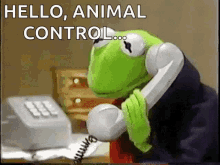 kermit-phone-call.gif