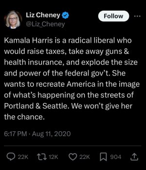 liz cheney on kamala harris.jpeg