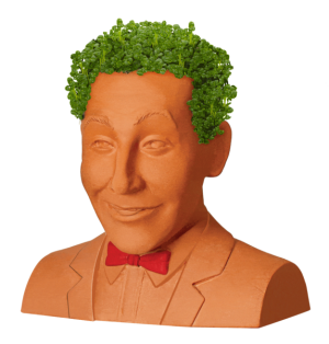 Chia Pet_PeeWee Herman.png